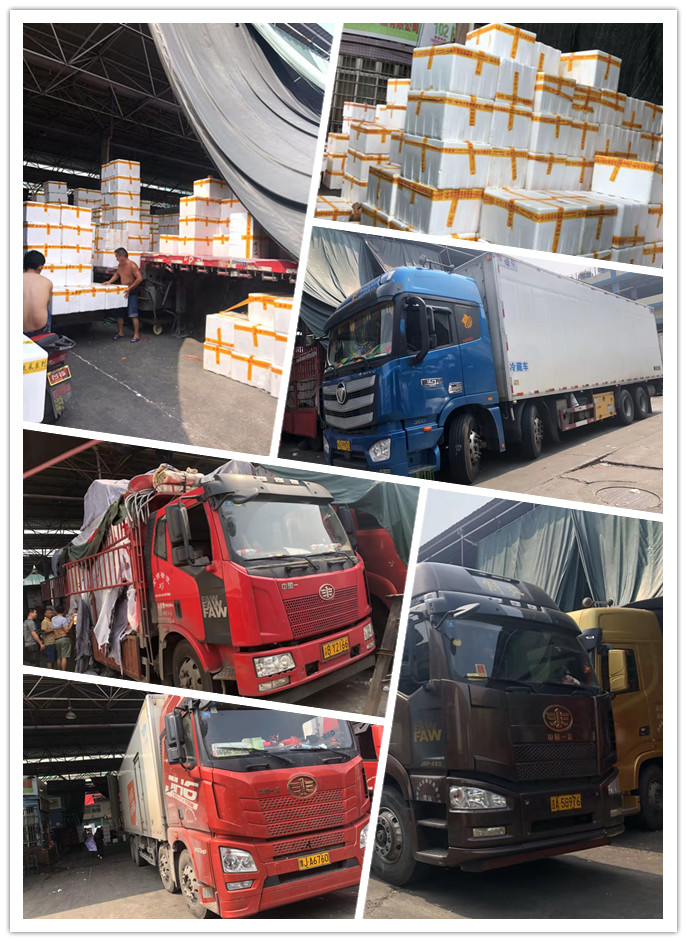 ��ҳ- �ڲ���������Ϊ��,רҵ����!