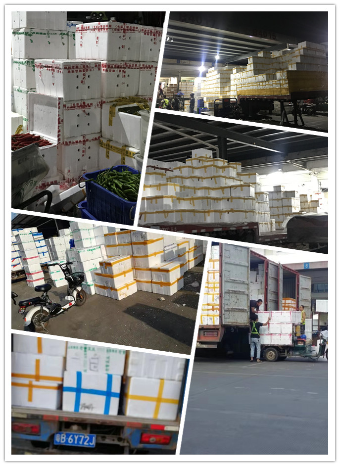 ��ҳ- �ڲ���������Ϊ��,רҵ����!