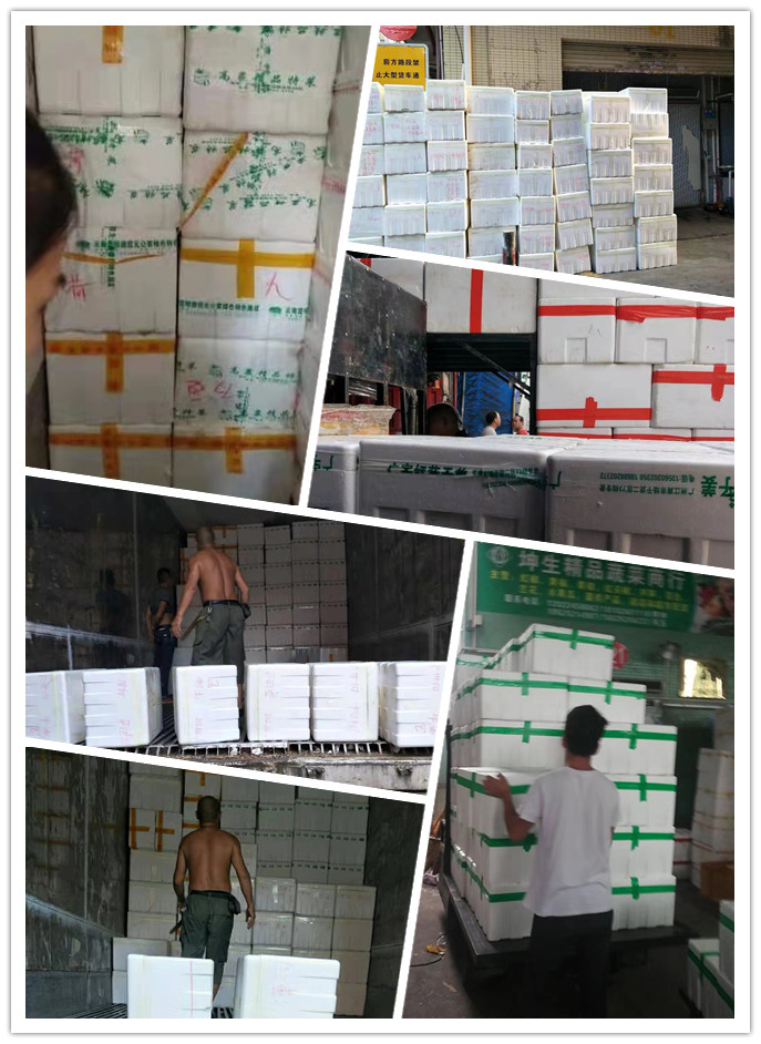 ��ҳ- �ڲ���������Ϊ��,רҵ����!