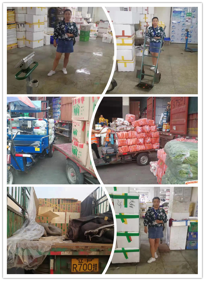 ��ҳ- �ڲ���������Ϊ��,רҵ����!