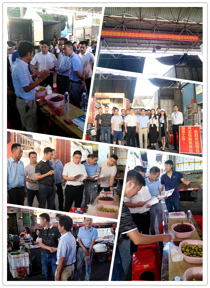 ��ҳ- �ڲ���������Ϊ��,רҵ����!