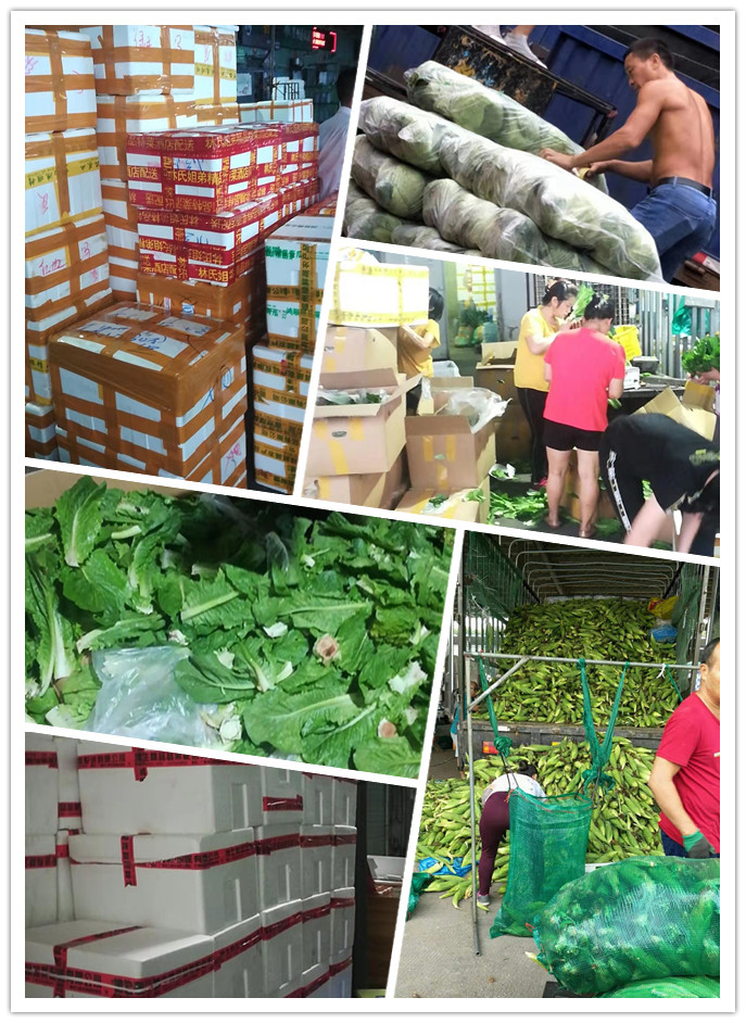 ��ҳ- �ڲ���������Ϊ��,רҵ����!