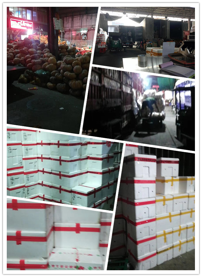 ��ҳ- �ڲ���������Ϊ��,רҵ����!