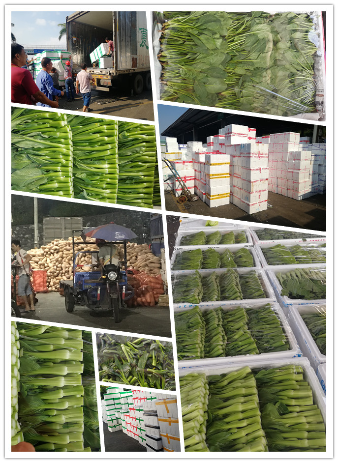 ��ҳ- �ڲ���������Ϊ��,רҵ����!