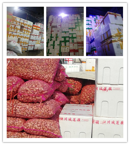 ��ҳ- �ڲ���������Ϊ��,רҵ����!