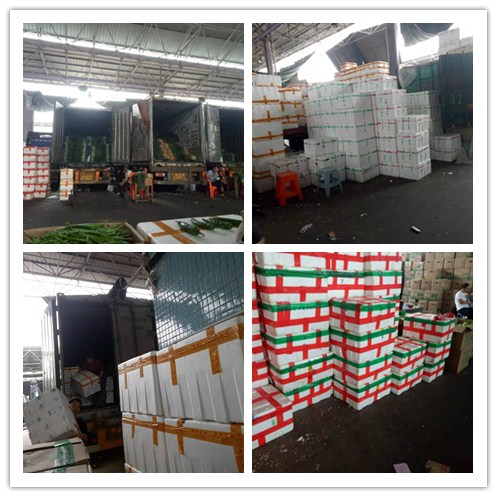 ��ҳ- �ڲ���������Ϊ��,רҵ����!