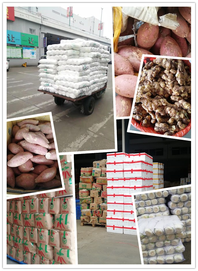 ��ҳ- �ڲ���������Ϊ��,רҵ����!