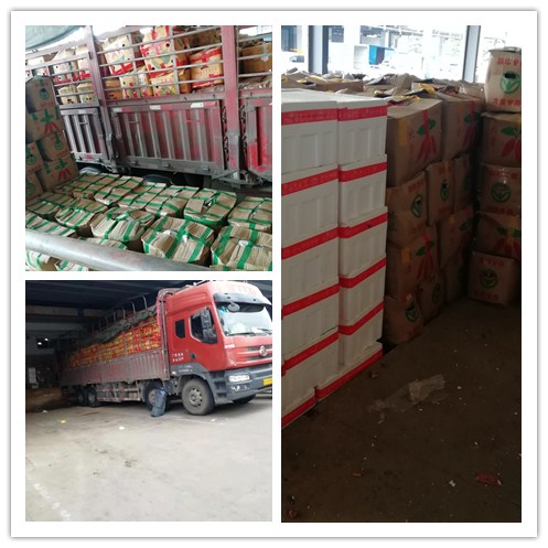 ��ҳ- �ڲ���������Ϊ��,רҵ����!