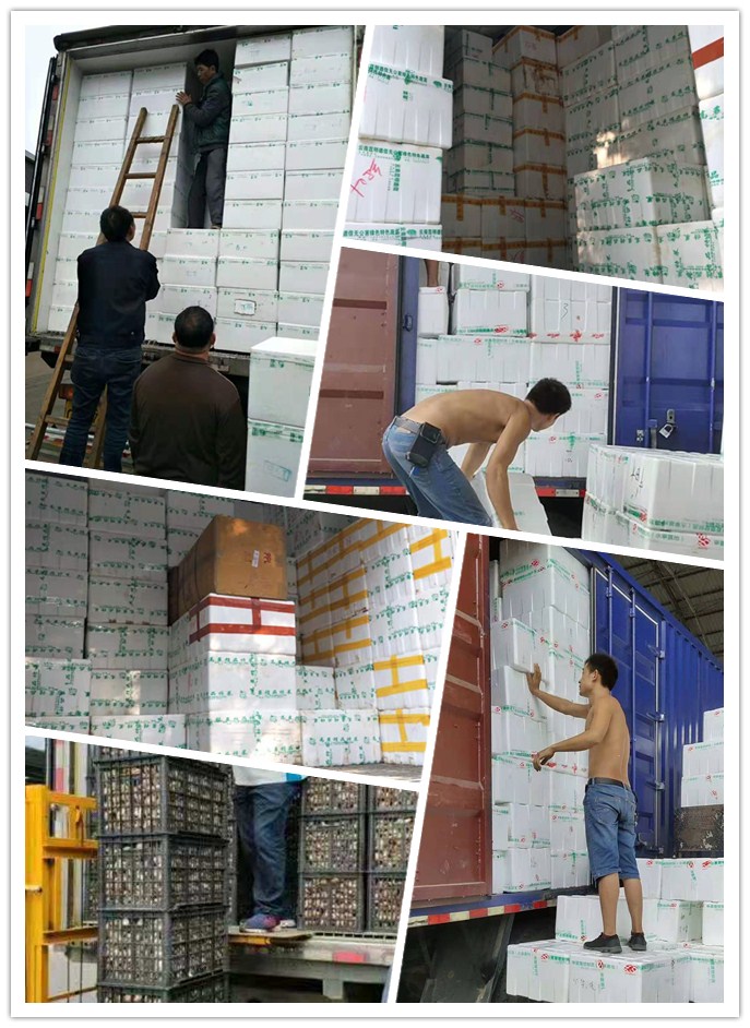 ��ҳ- �ڲ���������Ϊ��,רҵ����!