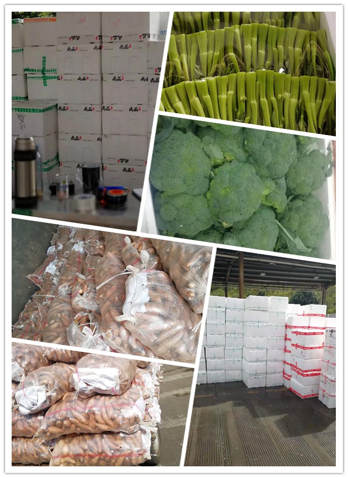 ��ҳ- �ڲ���������Ϊ��,רҵ����!