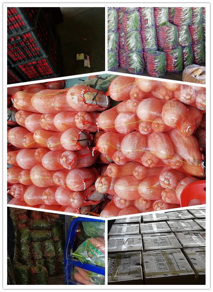 ��ҳ- �ڲ���������Ϊ��,רҵ����!