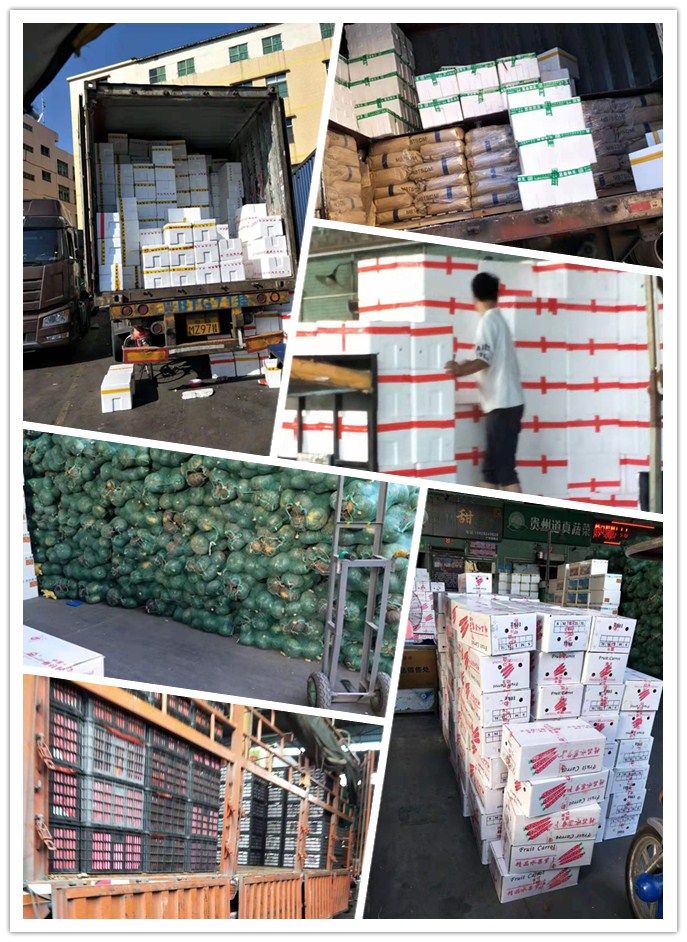 ��ҳ- �ڲ���������Ϊ��,רҵ����!