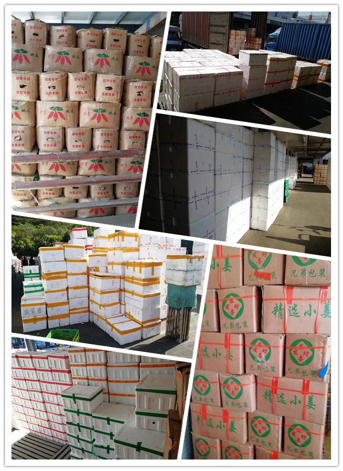 ��ҳ- �ڲ���������Ϊ��,רҵ����!