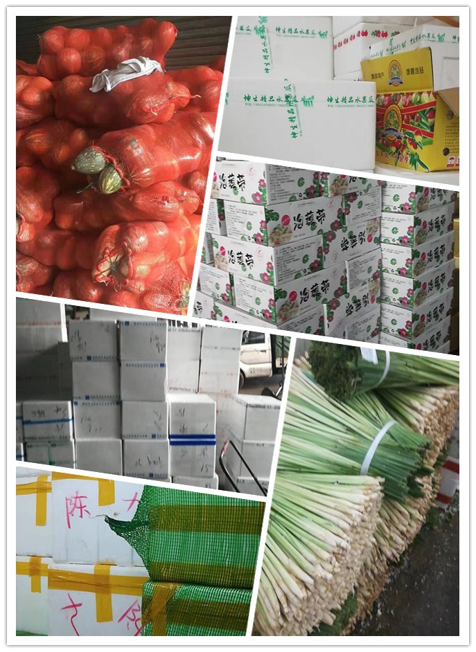 ��ҳ- �ڲ���������Ϊ��,רҵ����!