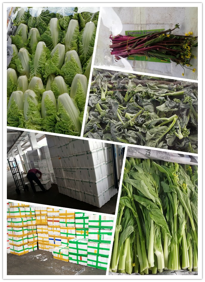 ��ҳ- �ڲ���������Ϊ��,רҵ����!