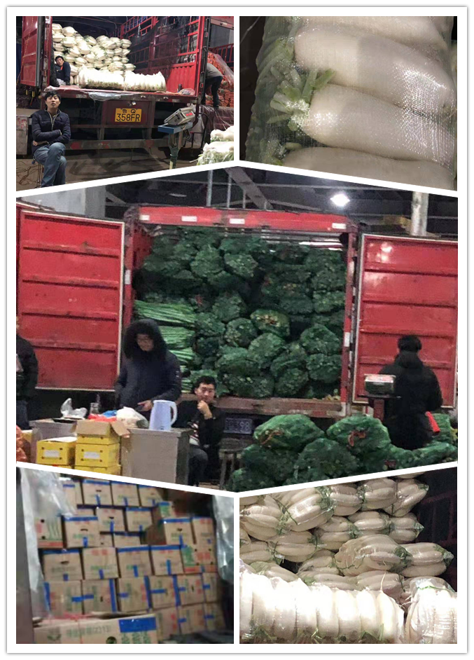 ��ҳ- �ڲ���������Ϊ��,רҵ����!