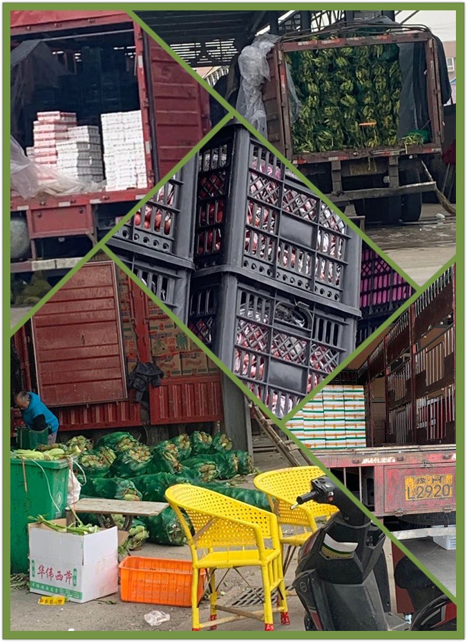 ��ҳ- �ڲ���������Ϊ��,רҵ����!