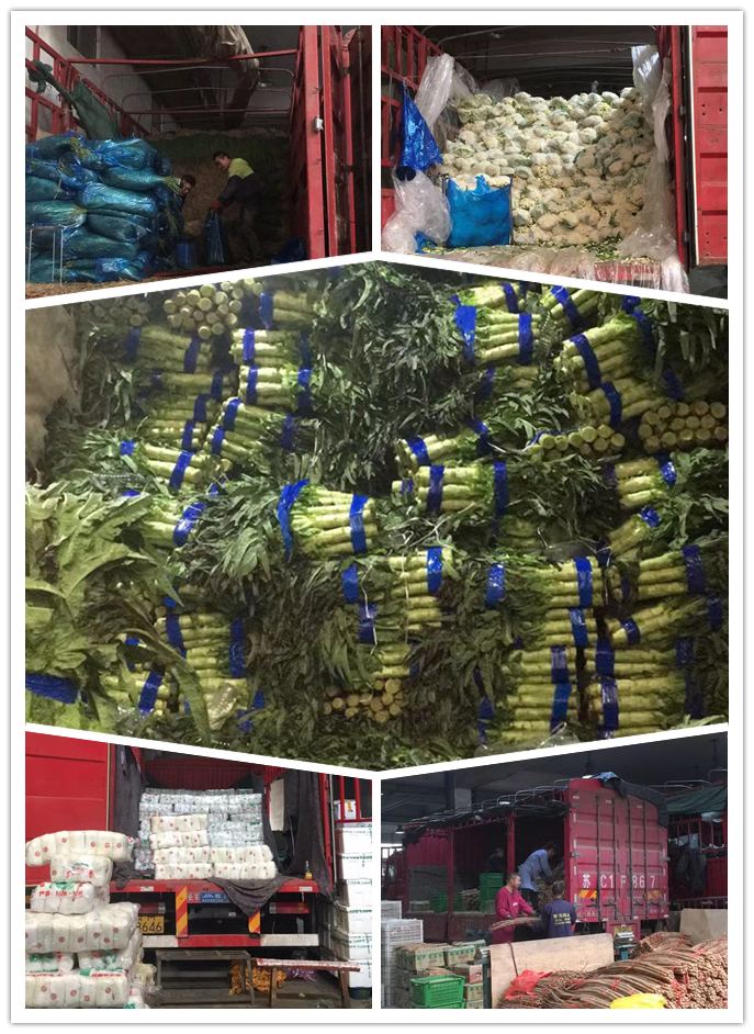 ��ҳ- �ڲ���������Ϊ��,רҵ����!