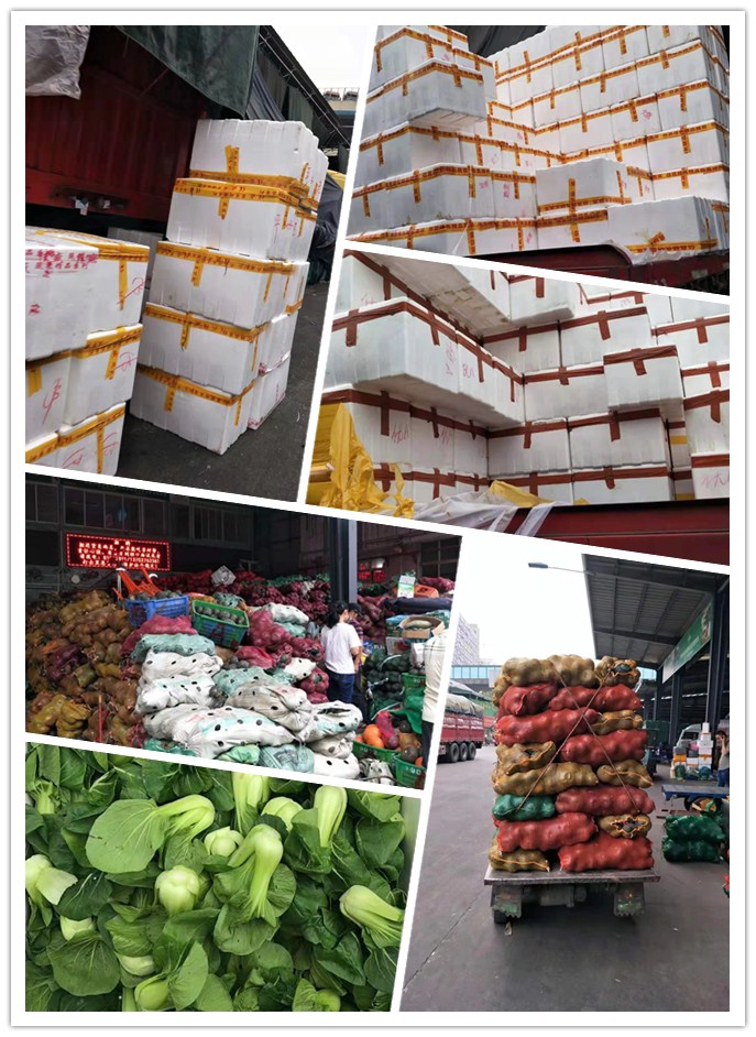 ��ҳ- �ڲ���������Ϊ��,רҵ����!