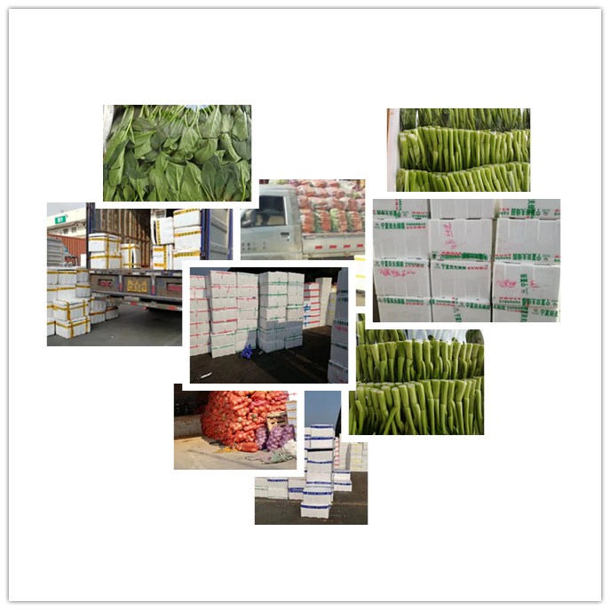 ��ҳ- �ڲ���������Ϊ��,רҵ����!