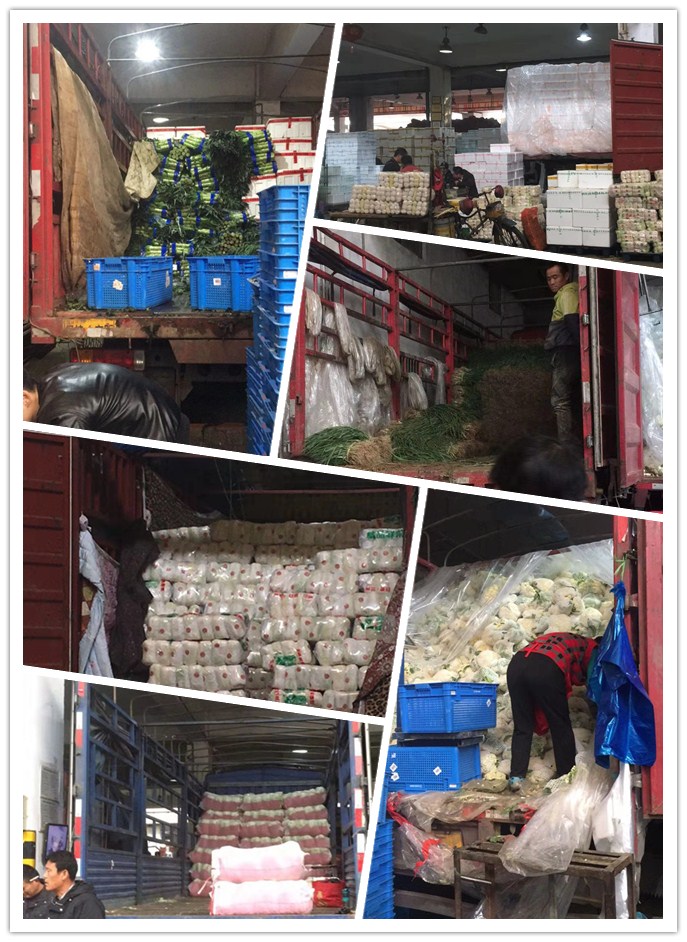 ��ҳ- �ڲ���������Ϊ��,רҵ����!