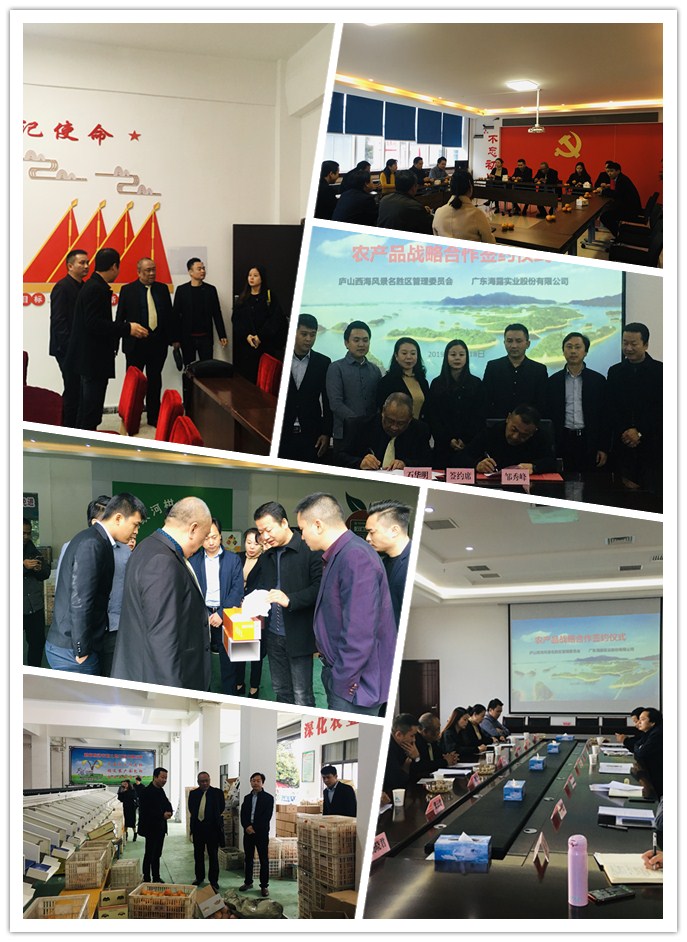 ��ҳ- �ڲ���������Ϊ��,רҵ����!