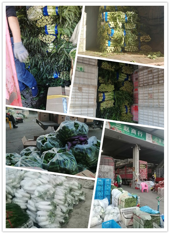 ��ҳ- �ڲ���������Ϊ��,רҵ����!