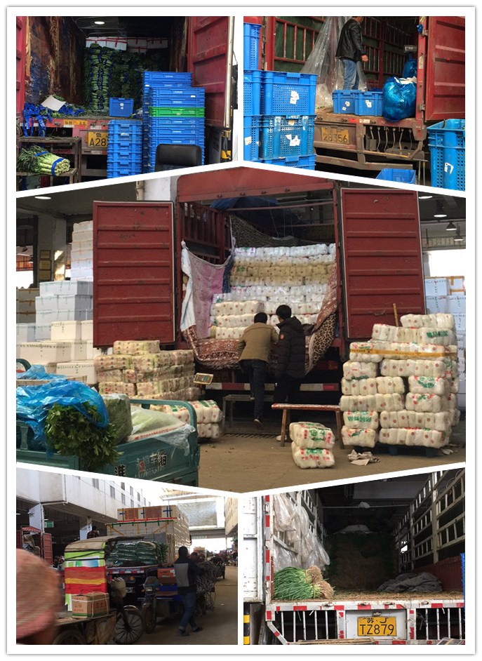 ��ҳ- �ڲ���������Ϊ��,רҵ����!