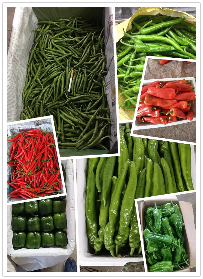 ��ҳ- �ڲ���������Ϊ��,רҵ����!