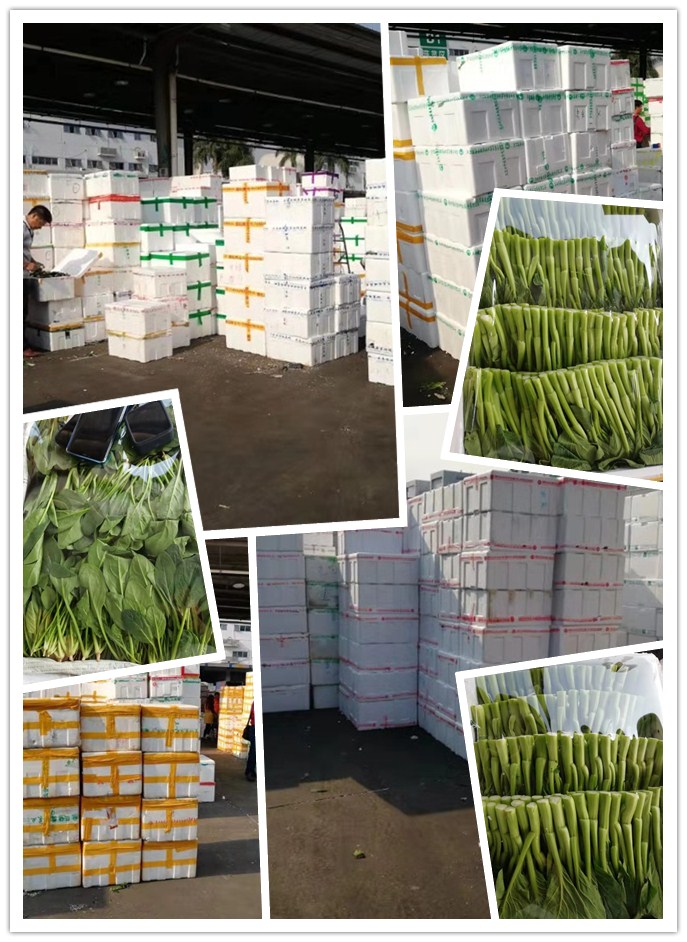 ��ҳ- �ڲ���������Ϊ��,רҵ����!