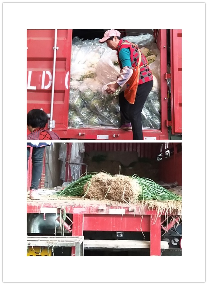 ��ҳ- �ڲ���������Ϊ��,רҵ����!