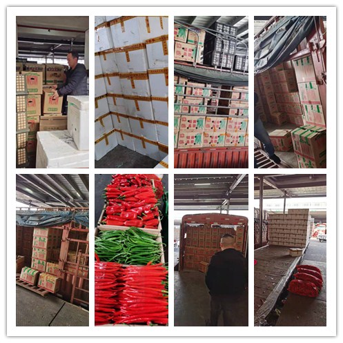 ��ҳ- �ڲ���������Ϊ��,רҵ����!