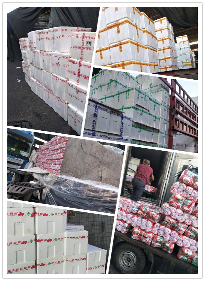 ��ҳ- �ڲ���������Ϊ��,רҵ����!