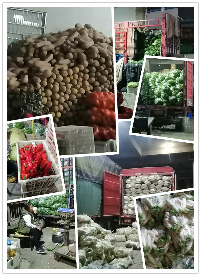 ��ҳ- �ڲ���������Ϊ��,רҵ����!