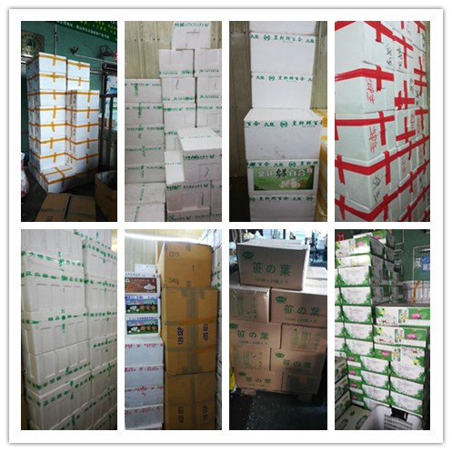 ��ҳ- �ڲ���������Ϊ��,רҵ����!