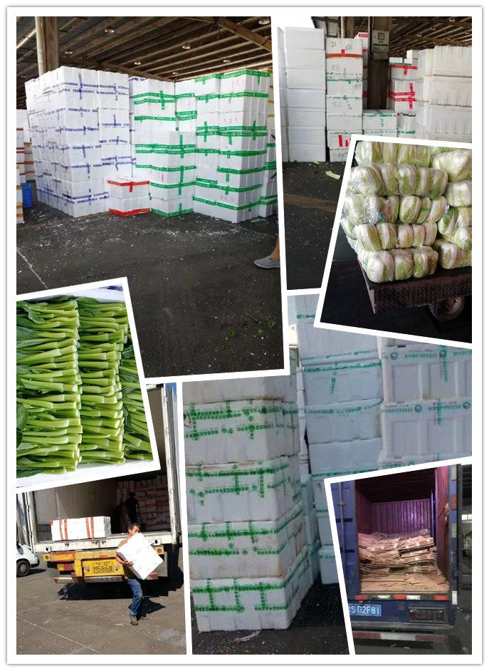 ��ҳ- �ڲ���������Ϊ��,רҵ����!