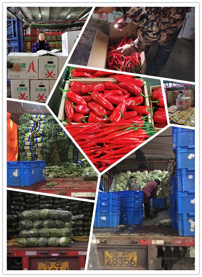 ��ҳ- �ڲ���������Ϊ��,רҵ����!