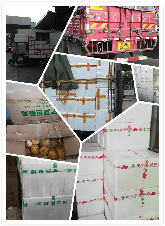 ��ҳ- �ڲ���������Ϊ��,רҵ����!