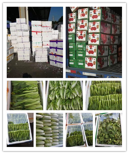 ��ҳ- �ڲ���������Ϊ��,רҵ����!