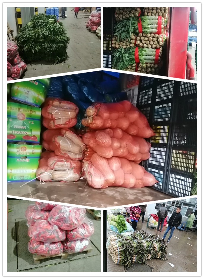 ��ҳ- �ڲ���������Ϊ��,רҵ����!