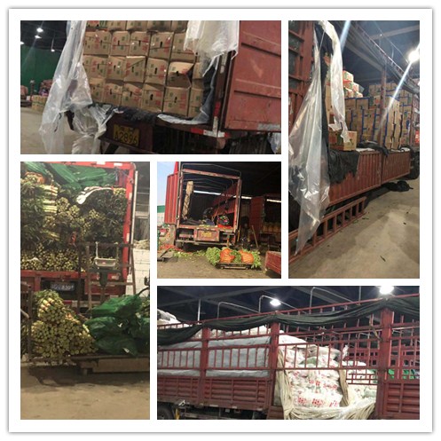 ��ҳ- �ڲ���������Ϊ��,רҵ����!