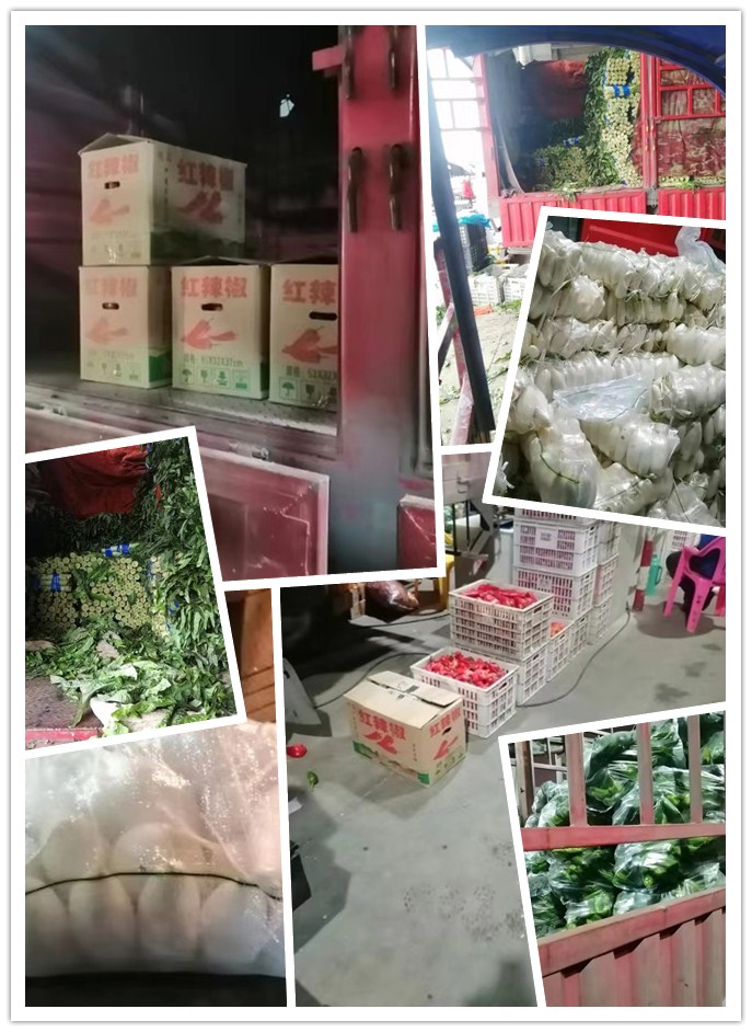 ��ҳ- �ڲ���������Ϊ��,רҵ����!