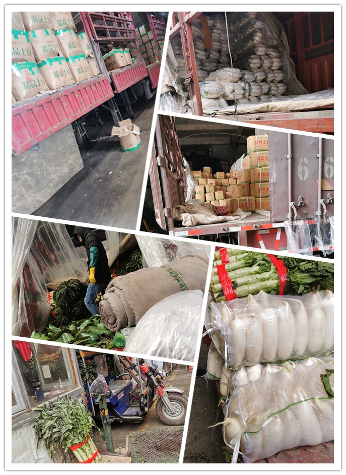 ��ҳ- �ڲ���������Ϊ��,רҵ����!