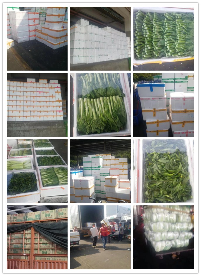 ��ҳ- �ڲ���������Ϊ��,רҵ����!