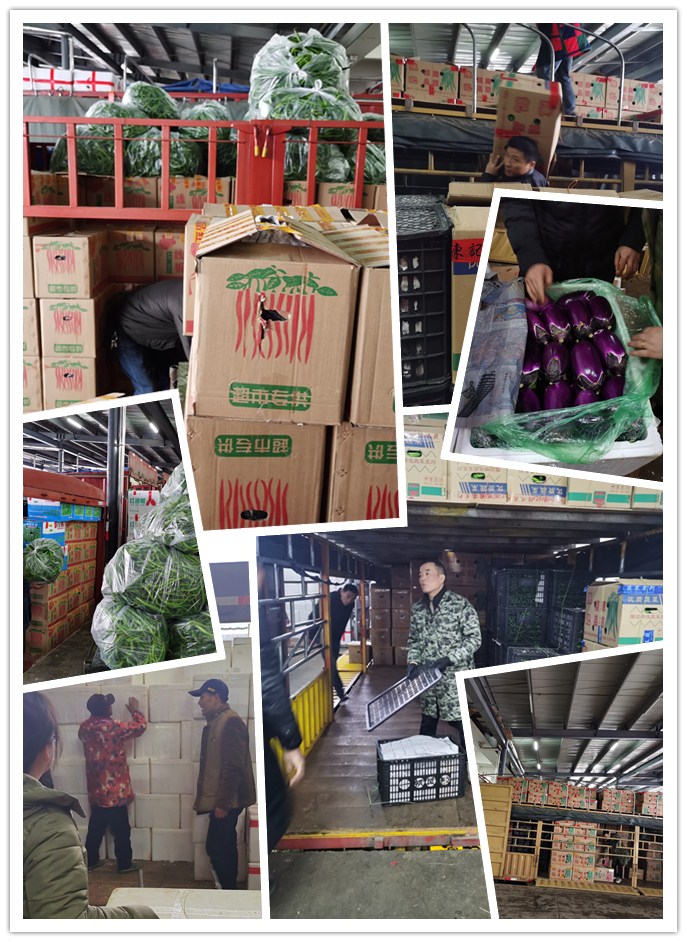 ��ҳ- �ڲ���������Ϊ��,רҵ����!