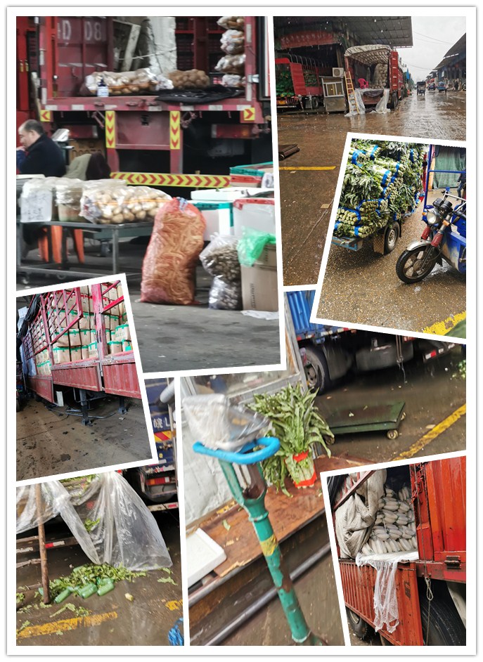 ��ҳ- �ڲ���������Ϊ��,רҵ����!