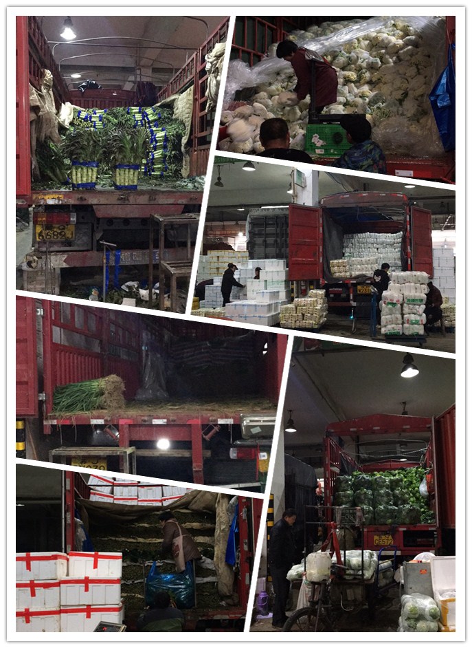 ��ҳ- �ڲ���������Ϊ��,רҵ����!