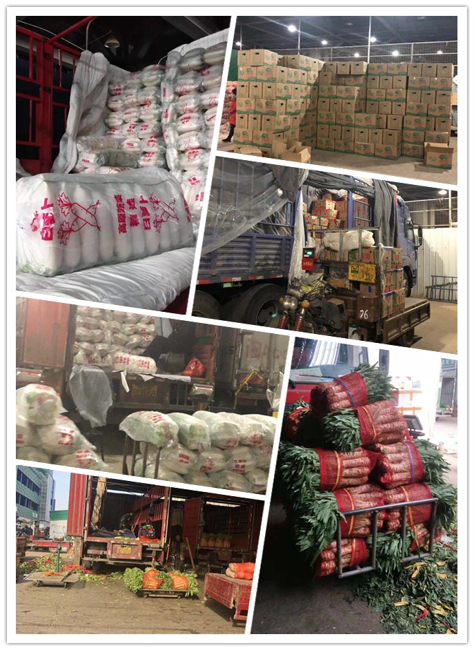 ��ҳ- �ڲ���������Ϊ��,רҵ����!