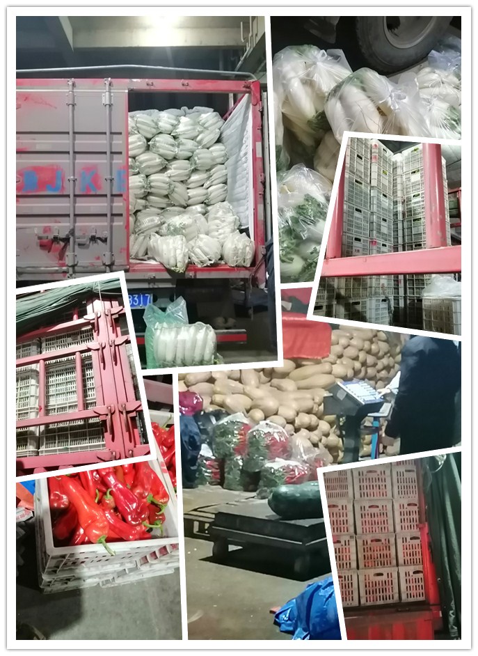 ��ҳ- �ڲ���������Ϊ��,רҵ����!