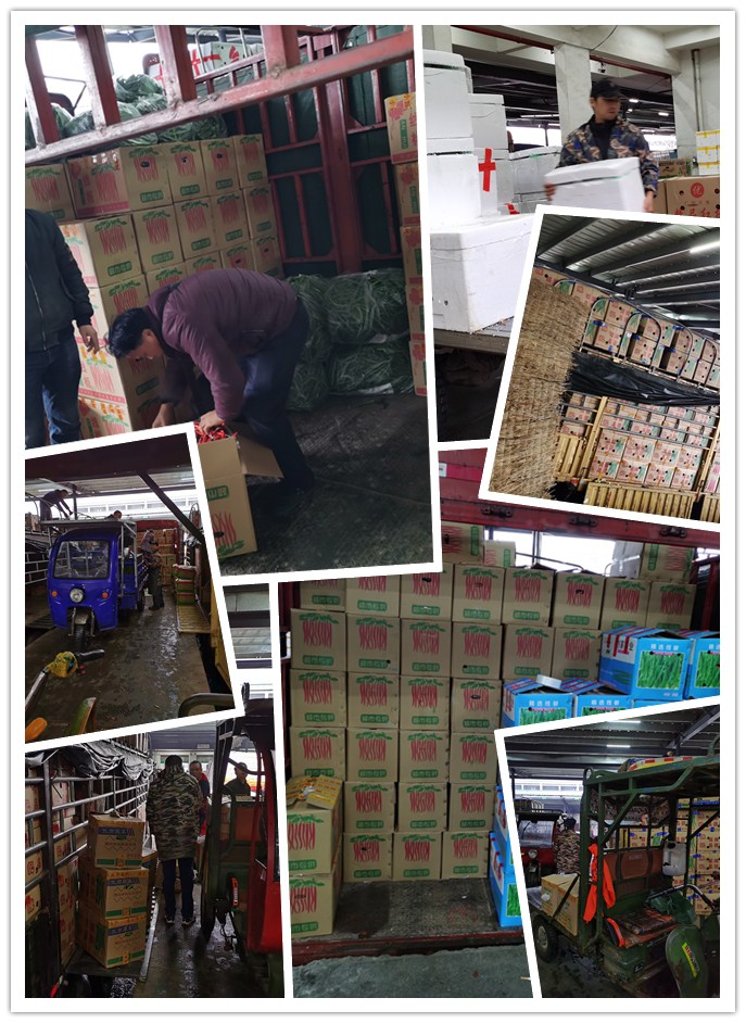 ��ҳ- �ڲ���������Ϊ��,רҵ����!